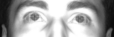 Рис. 3 - «Глаза – зеркало души». 